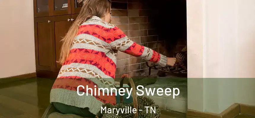 Chimney Sweep Maryville - TN