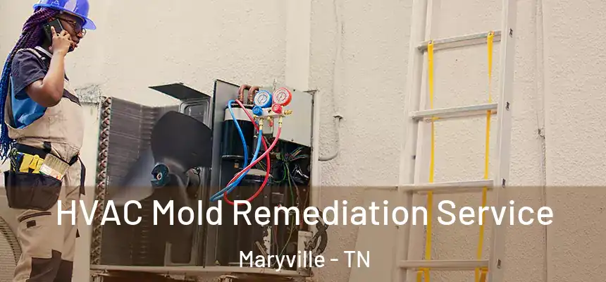  HVAC Mold Remediation Service Maryville - TN