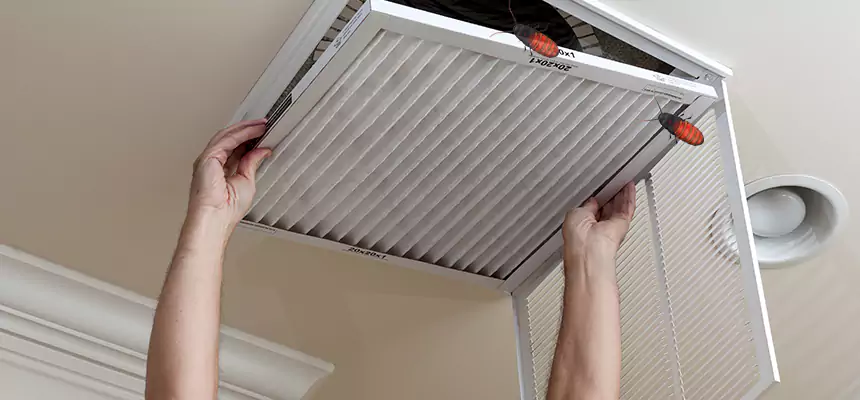 Preventive Cockroach-Proofing for Ducts in Maryville