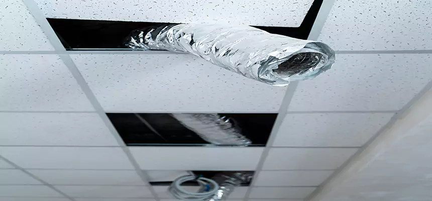 Our Air Duct Pet Hair Removal Services in Maryville, TN