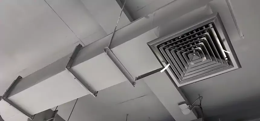 Our Pest Removal From Ducts Services in Maryville, TN