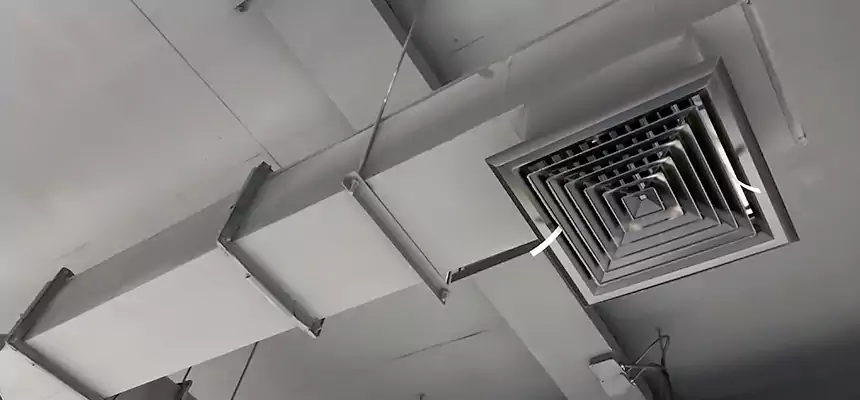 Our Rodent Droppings In Vents Services in Maryville, TN