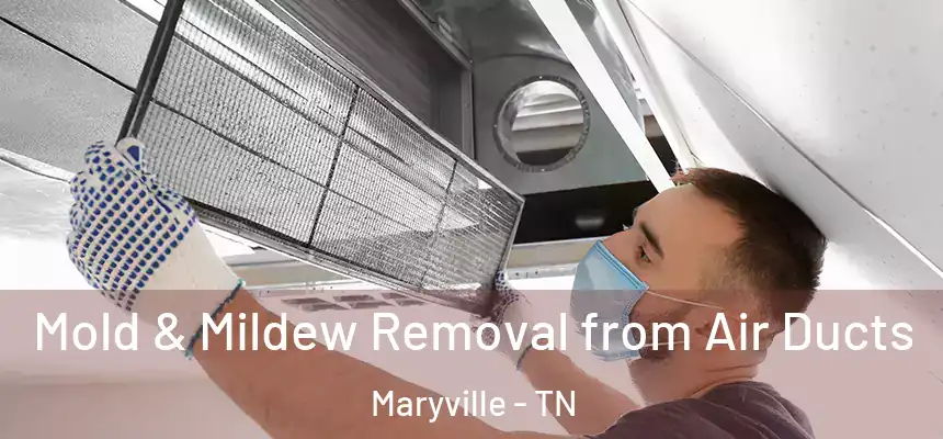 Mold & Mildew Removal from Air Ducts Maryville - TN