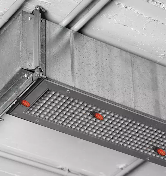 About Air Duct Cockroach Removal in Maryville, TN