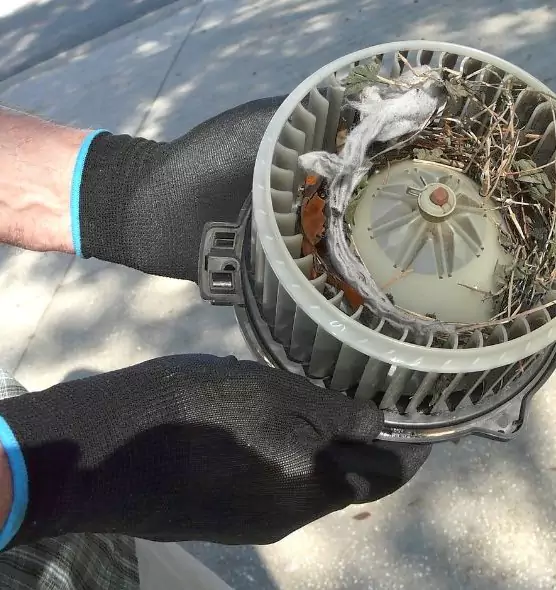 About Air Duct Mice Removal in Maryville, TN