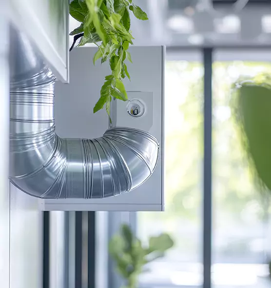 Professional Eco-Safe Dryer Vent Cleaning in Maryville, TN