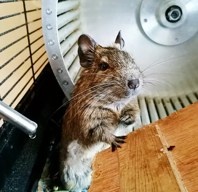 Why Homeowners & Businesses Trust Us Maryville, TN