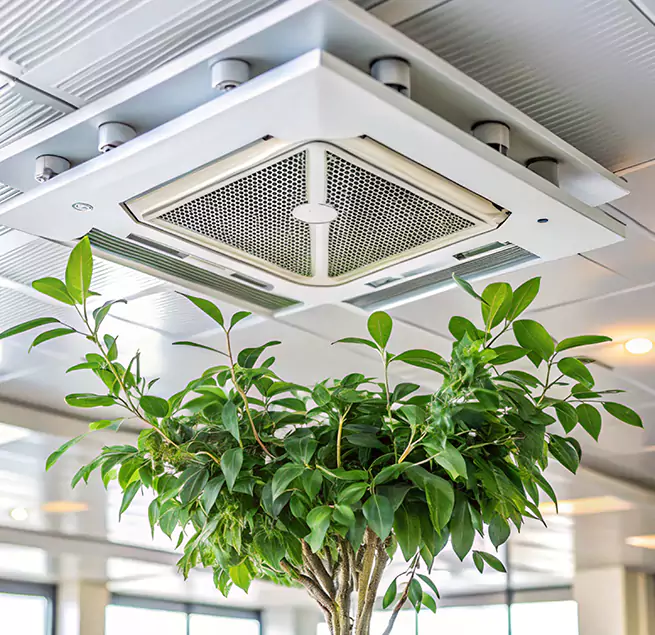 Why Homeowners & Businesses Trust Us in Maryville, TN