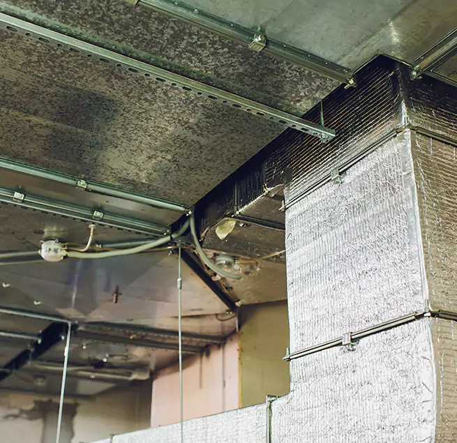 Why Homeowners & Businesses Trust Us in Maryville, TN?